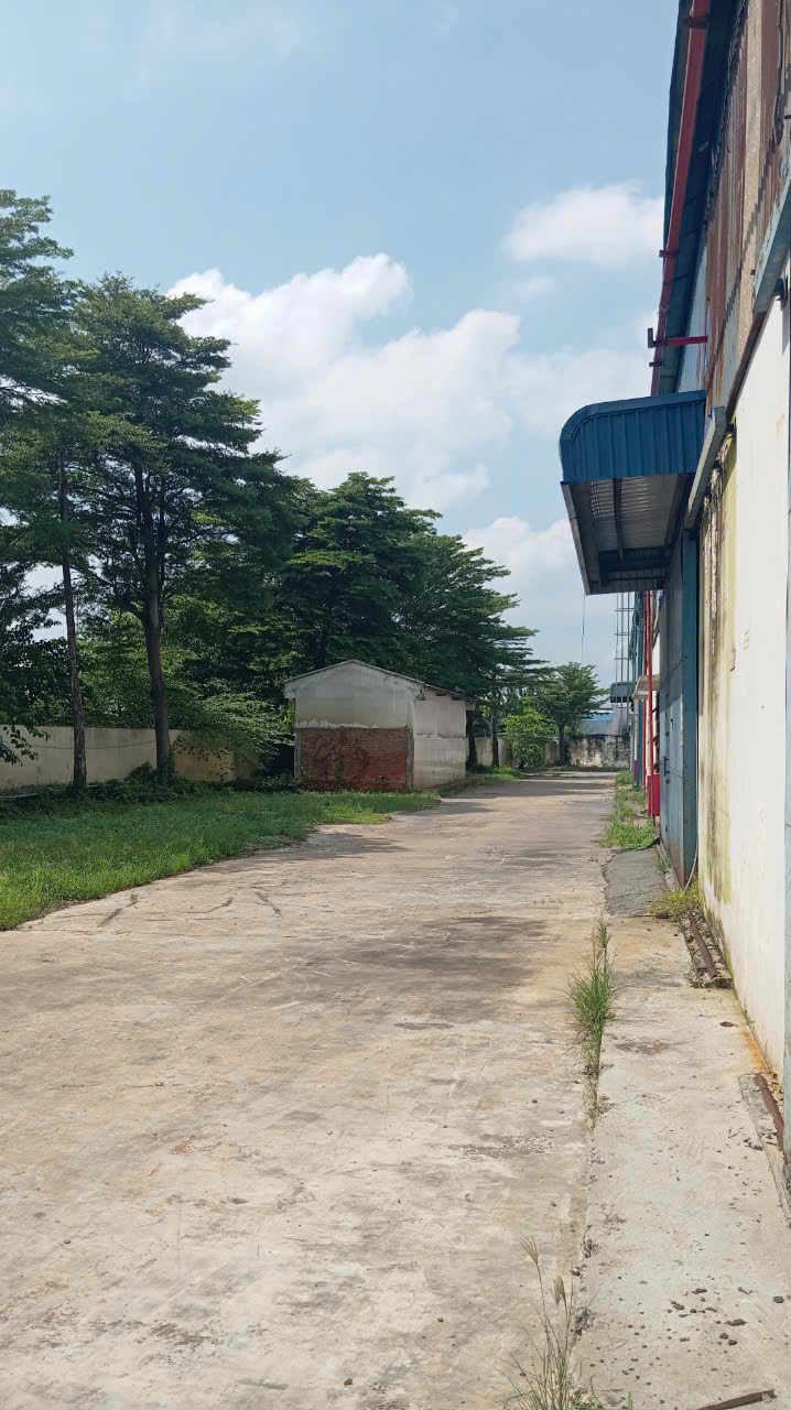 Hình ảnh của Khám Phá Không Gian Lý Tưởng Để Hiện Thực Hóa Giấc Mơ Kinh Doanh Của Bạn Tại Nhà Xưởng Bình An, Bến Lức – Nơi Mọi Ý Tưởng Đều Có Thể Bay Xa.