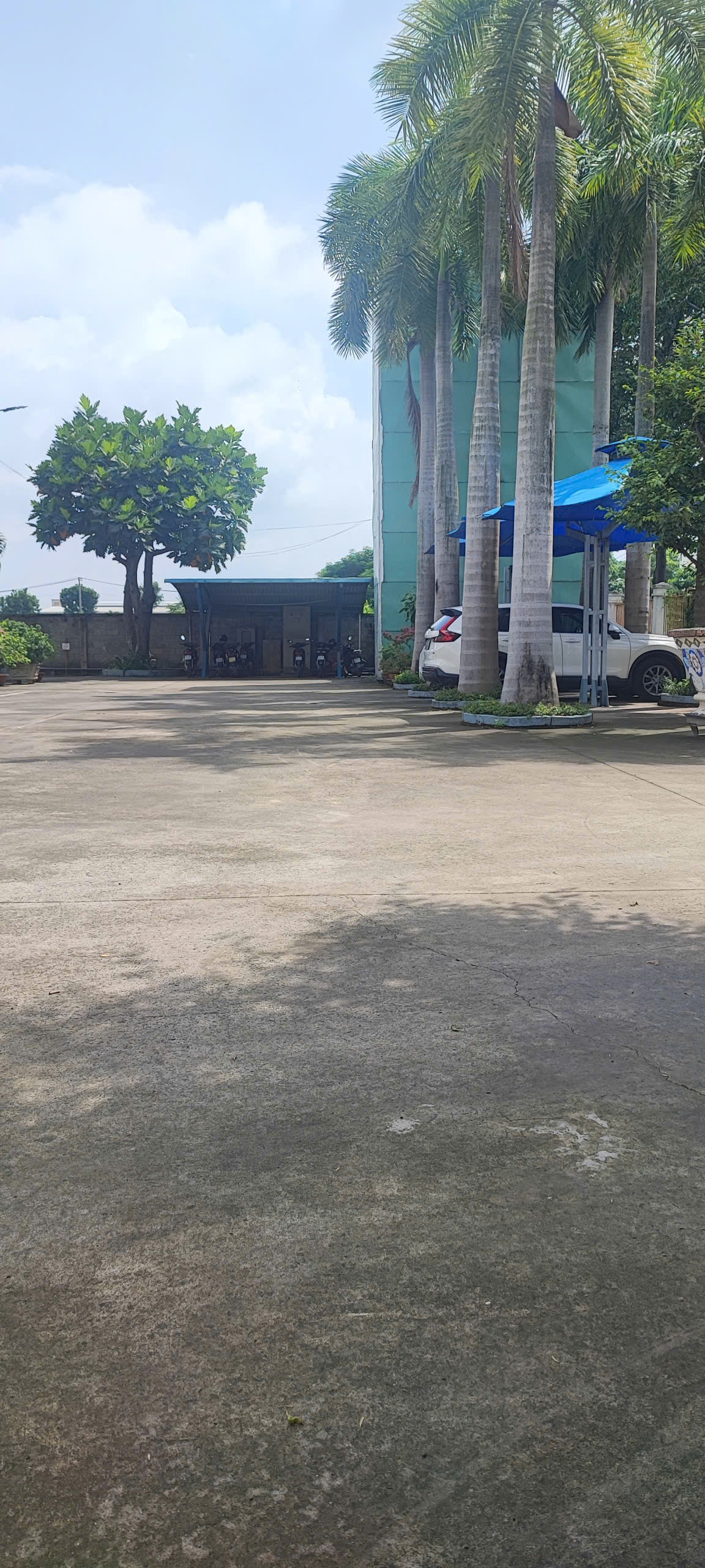 Hình ảnh của Cho Thuê Kho Xưởng 800M² – Kcn Cát Lái, Quận 2