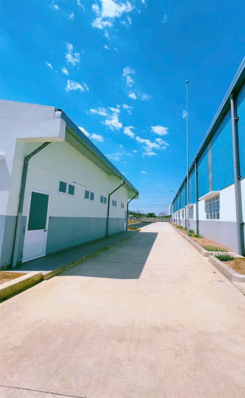 Hình ảnh của Bán Xưởng Tại Kcn Giang Điền, Đồng Nai