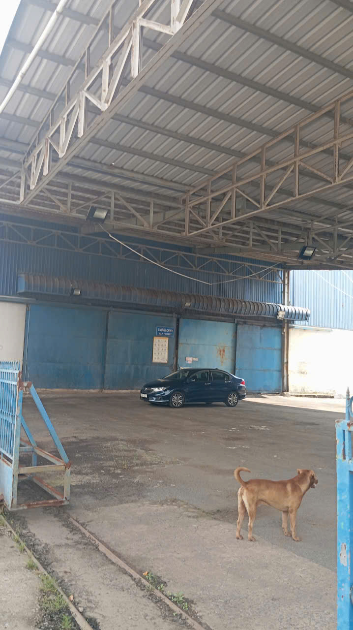 Hình ảnh của Khám Phá Không Gian Lý Tưởng Để Hiện Thực Hóa Giấc Mơ Kinh Doanh Của Bạn Tại Nhà Xưởng Bình An, Bến Lức – Nơi Mọi Ý Tưởng Đều Có Thể Bay Xa.