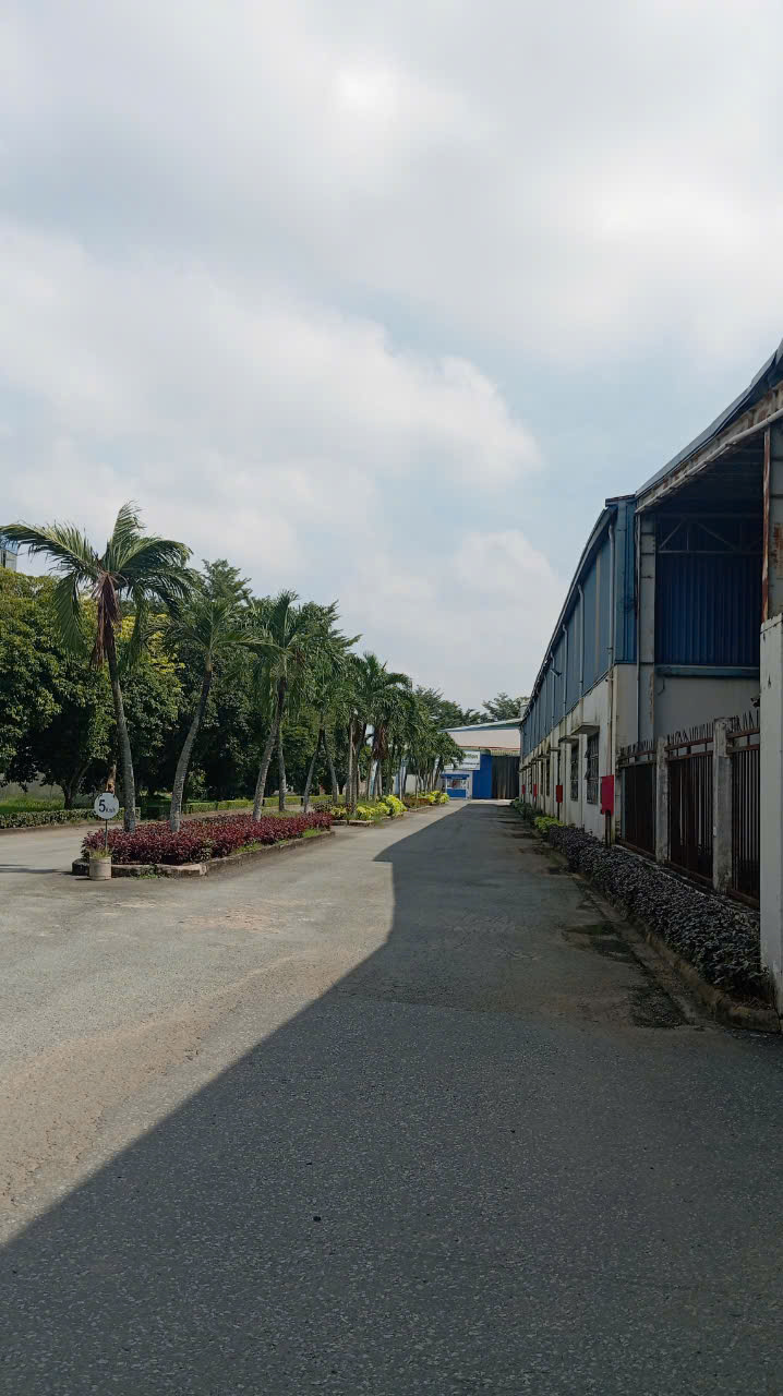Hình ảnh của Khám Phá Không Gian Lý Tưởng Để Hiện Thực Hóa Giấc Mơ Kinh Doanh Của Bạn Tại Nhà Xưởng Bình An, Bến Lức – Nơi Mọi Ý Tưởng Đều Có Thể Bay Xa.