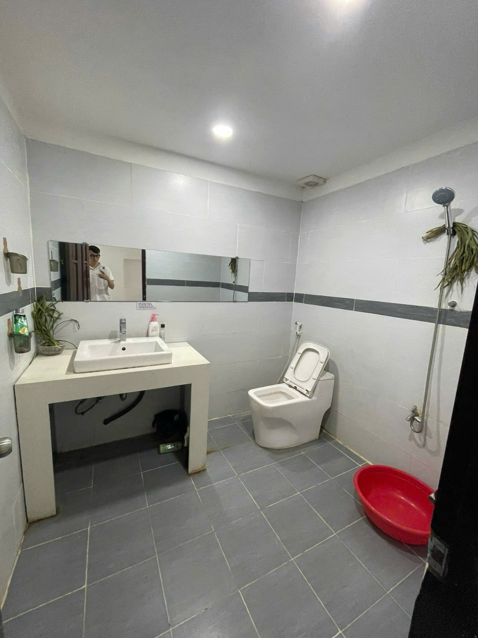 Hình ảnh của Cần Cho Thuê Nhà Nguyên Căn, Hẻm Xe Hơi, Tân Quy Quận 7  15Tr/Tháng