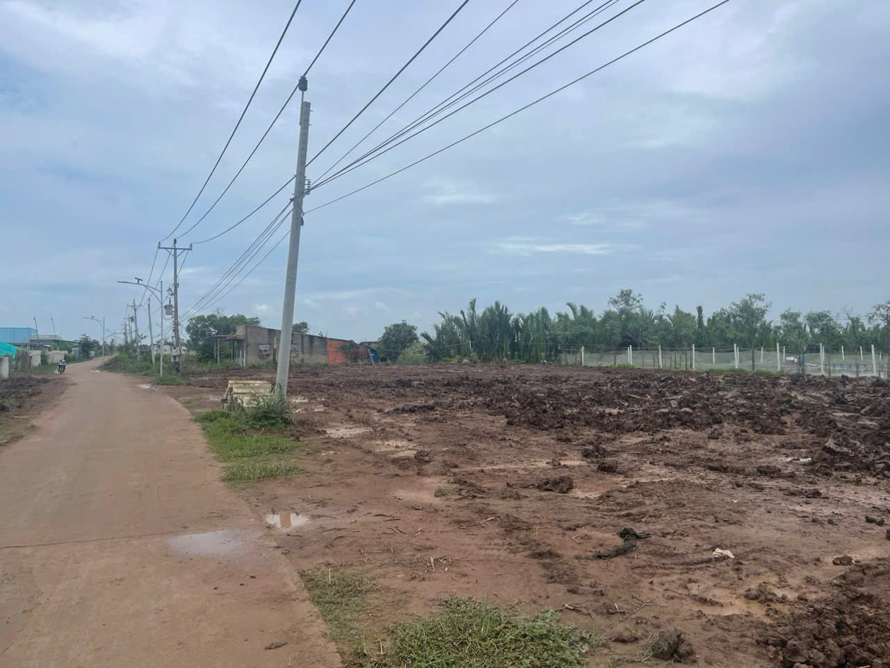 Hình ảnh của Bán Đất Thổ Cư Đường Ven Biển - Huyện Tân Phú Đông, Tiền Giang