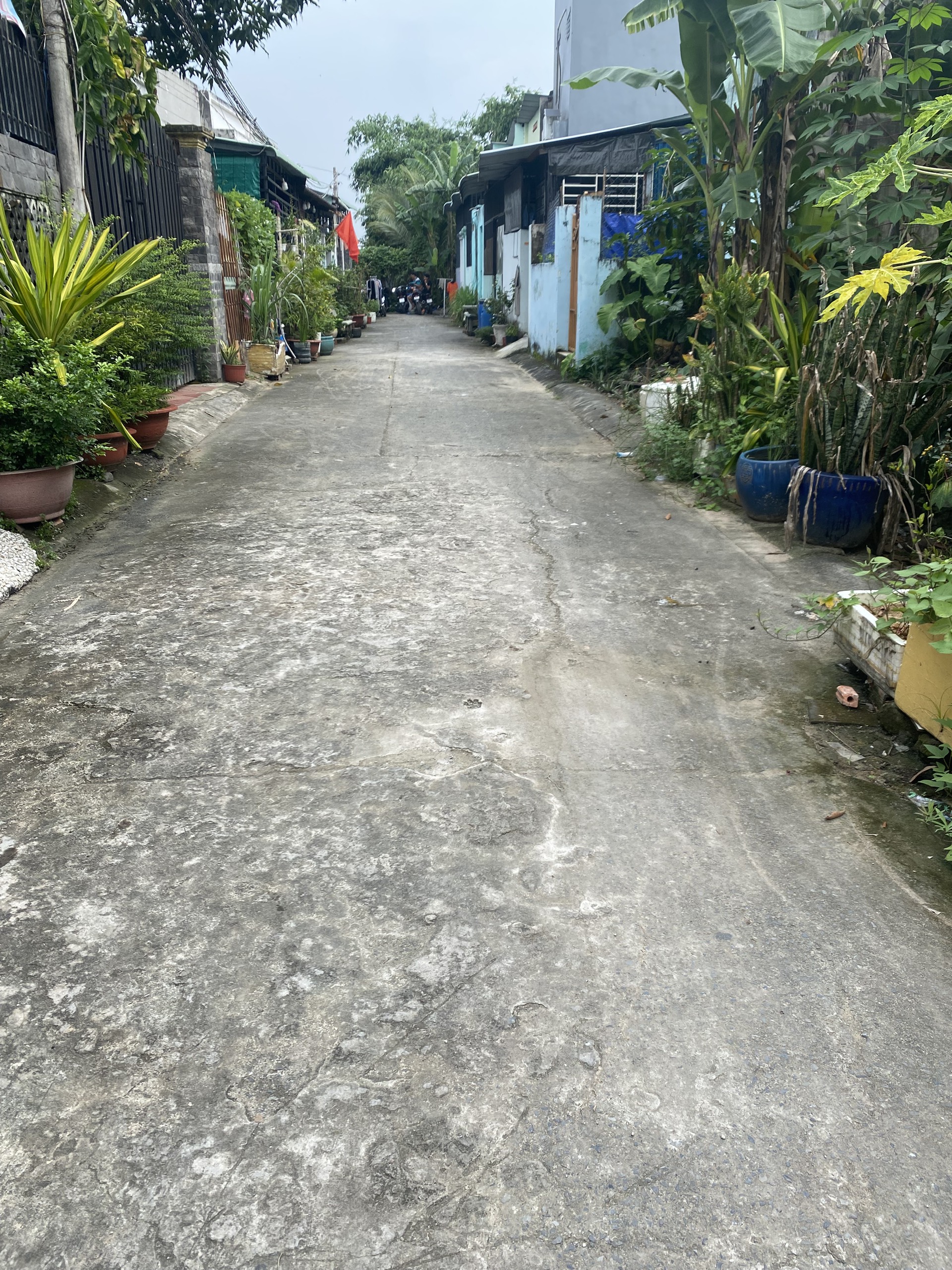 Hình ảnh của Cho Thuê Nhà Nguyên Căn