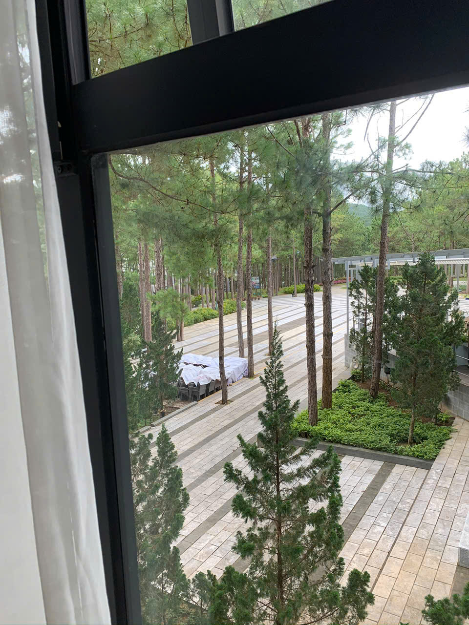 Hình ảnh của Mặt Bằng Sân Vườn Rộng  Khu Sadeco Q7  Thuê Ngay 20Tr