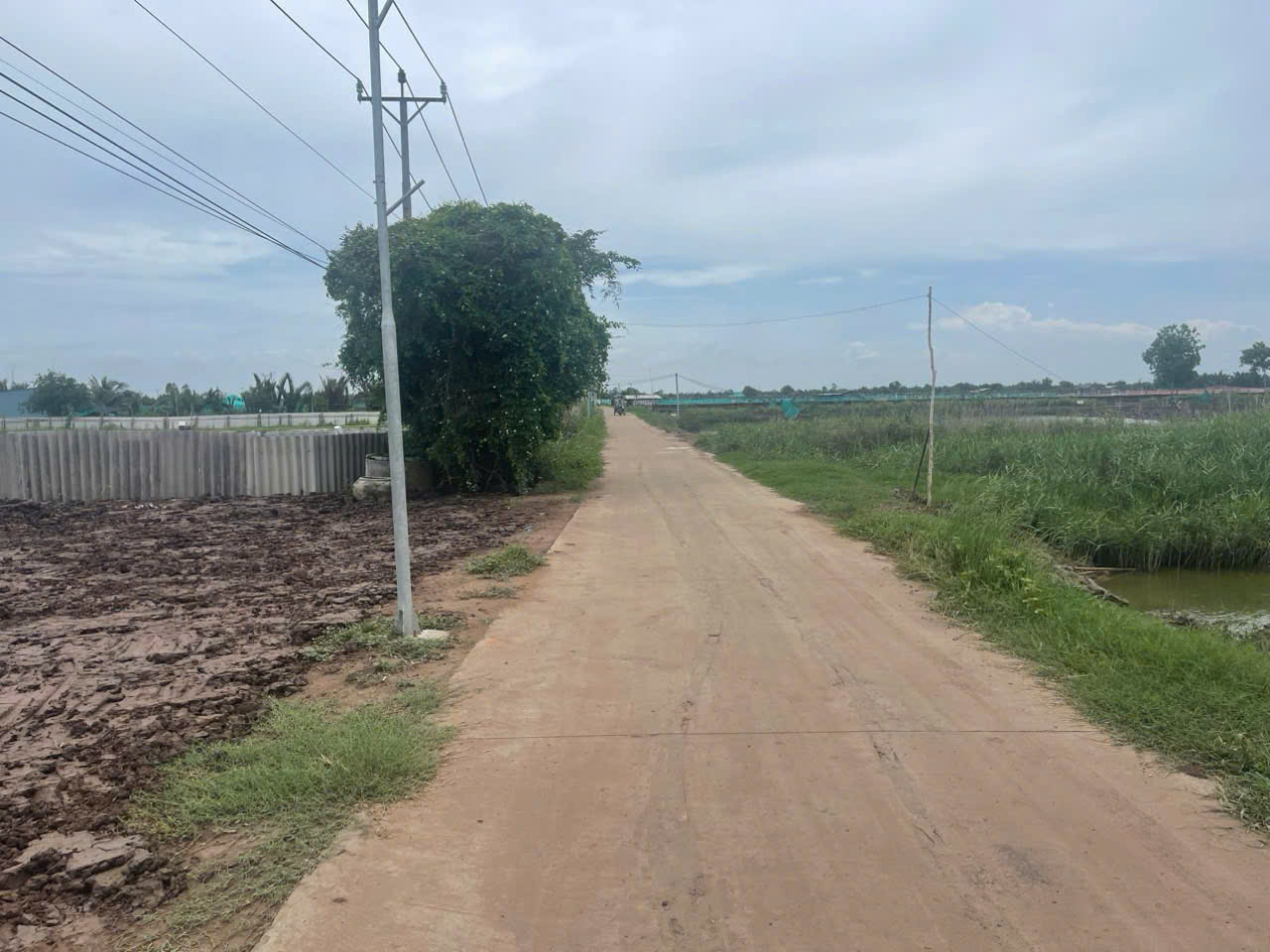 Hình ảnh của Bán Đất Thổ Cư Đường Ven Biển - Huyện Tân Phú Đông, Tiền Giang