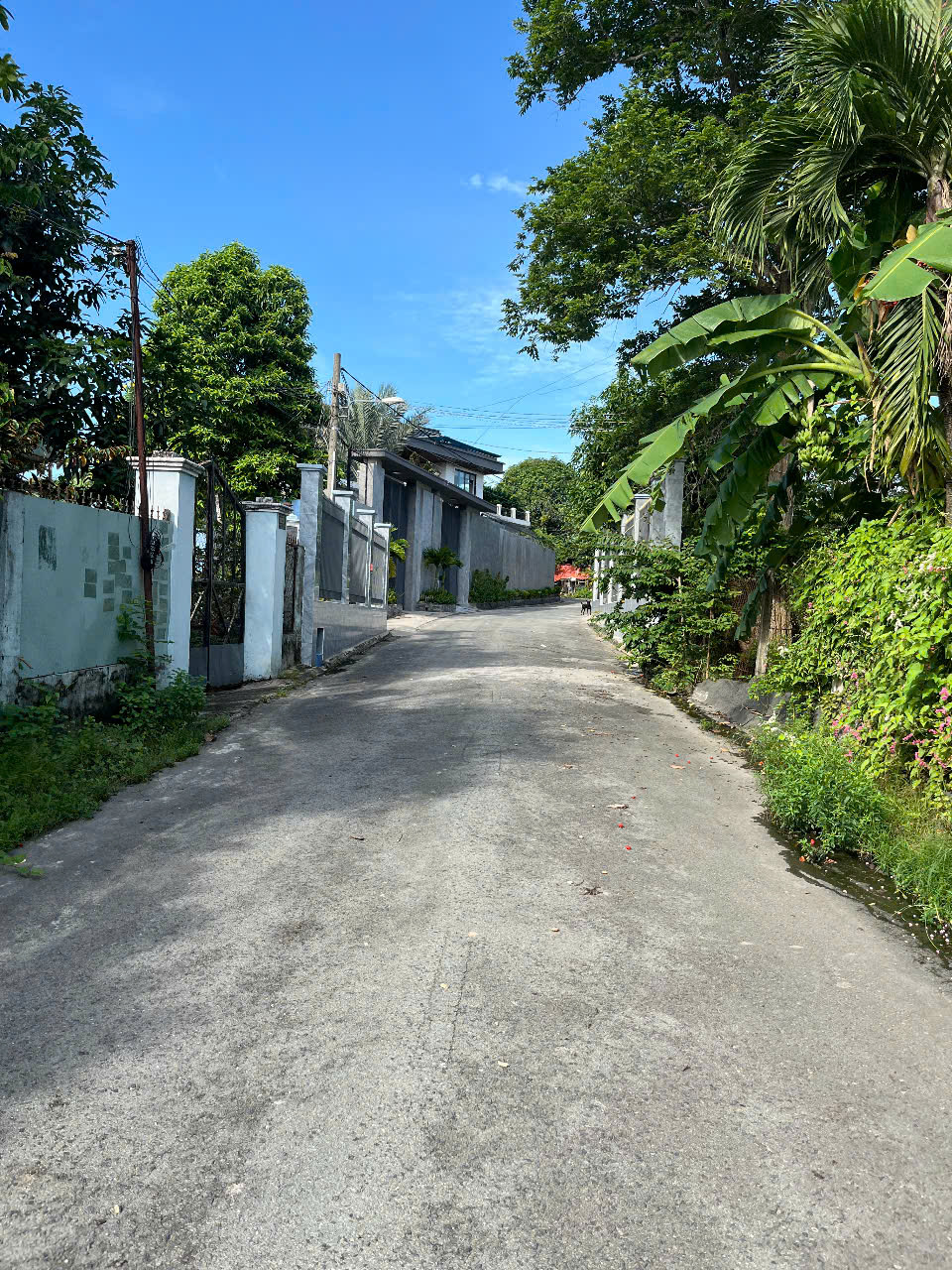 Hình ảnh của Đất Thổ Cư Tdm 150M2 Sẵn Sổ-Hẻm Xe Hơi-Hổ Trợ Bank 70% Gần Kdl Đại Nam