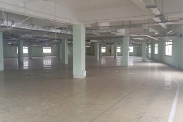 Cho Thuê Nhà Xưởng Cao Cấp Tại Khu Chế Xuất Tân Thuận, Quận 7, Tp. Hcm