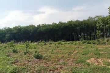 Bán Đất Sào Tại Kcn Vship 2 Mở Rộng, Tân Bình, Bắc Tân Uyên, Bình Dương