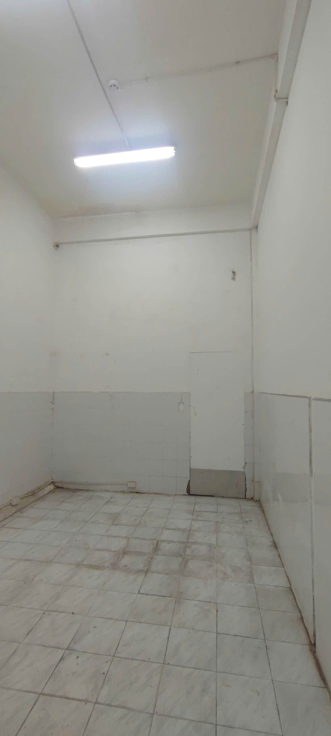 Hình ảnh của Cho Thuê Kho Xưởng Quận 7 – Vị Trí Vàng, Giá Cực Tốt